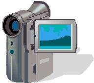 See videos of miniature horses on their individual webpage